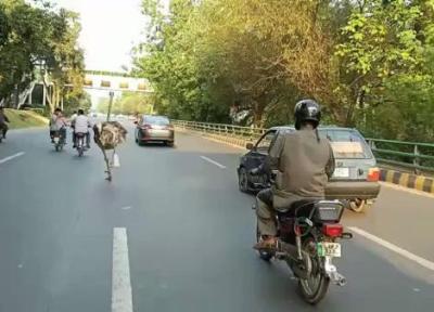 صحنه ای عجیب در خیابان های پاکستان