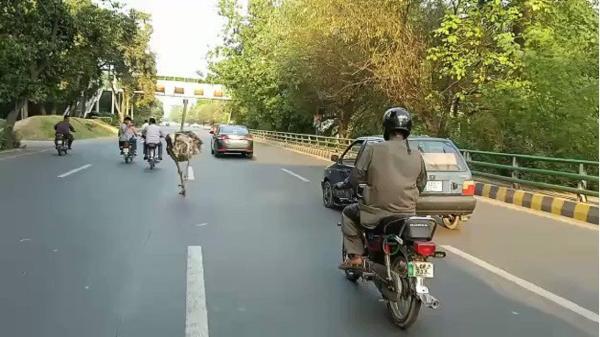 صحنه ای عجیب در خیابان های پاکستان